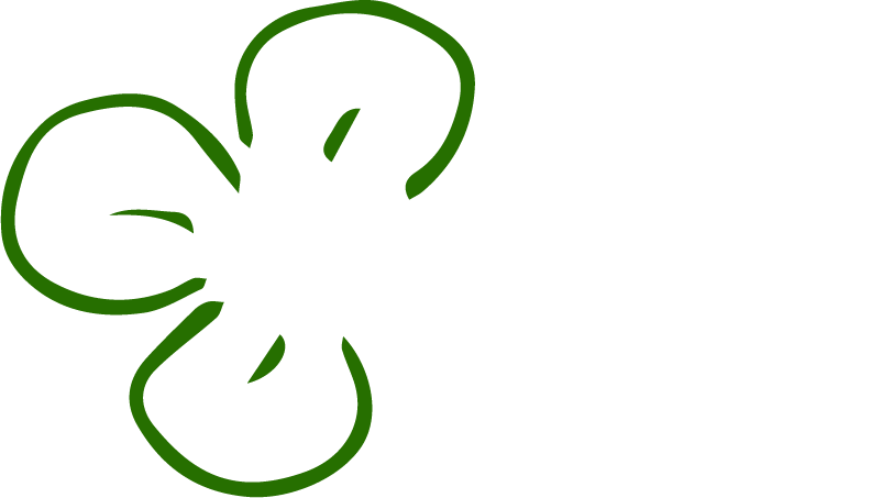Clever Celts